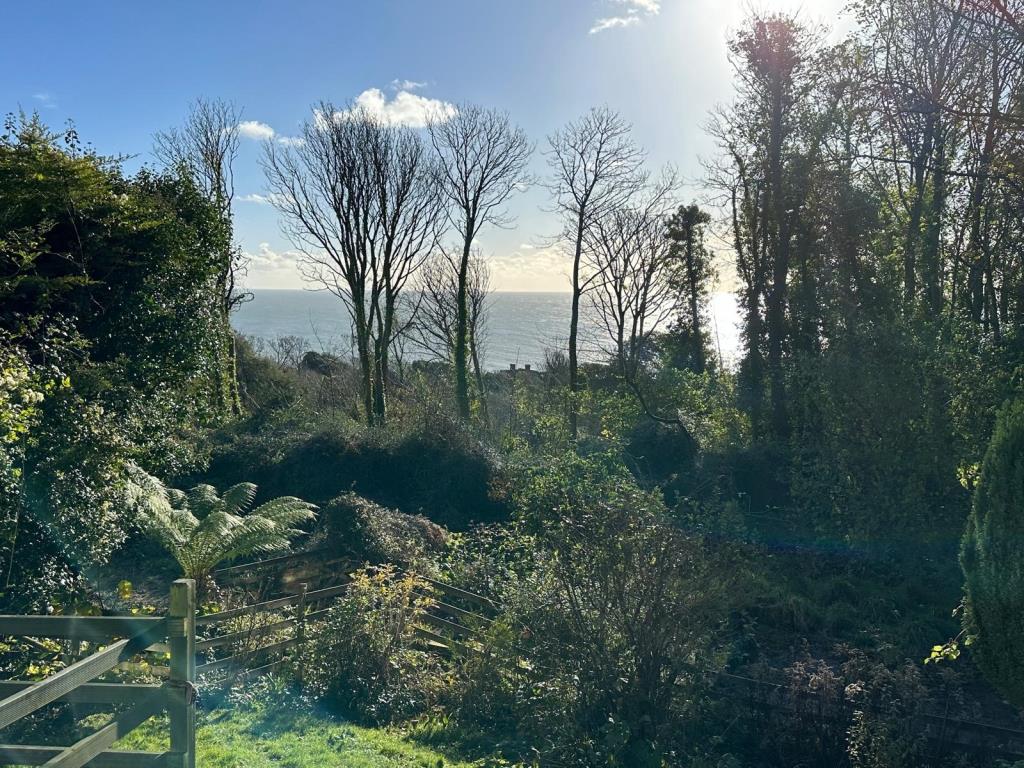 Lot: 99 - DETACHED CHALET STYLE HOME WITH SIGNIFICANT STRUCTURAL DAMAGE - View from the rear of the property